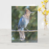 Steller's Jay-Wenskaart Kaart (Gele Bloem)