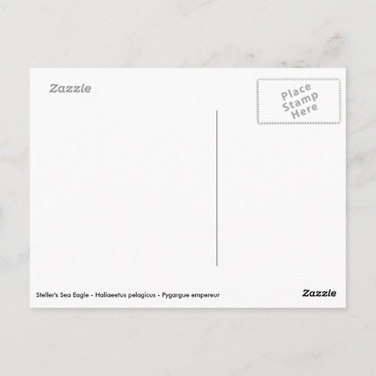 Stellers Zee Eagle Briefkaart (Achterkant)