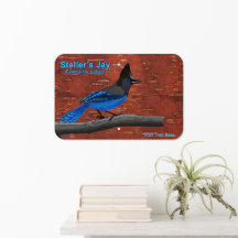 Stellerstrips op binnenste boog acrylplaat
