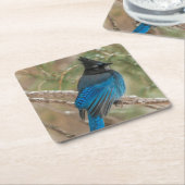 Stelletjaaimvee in boom kartonnen onderzetters (Schuin)