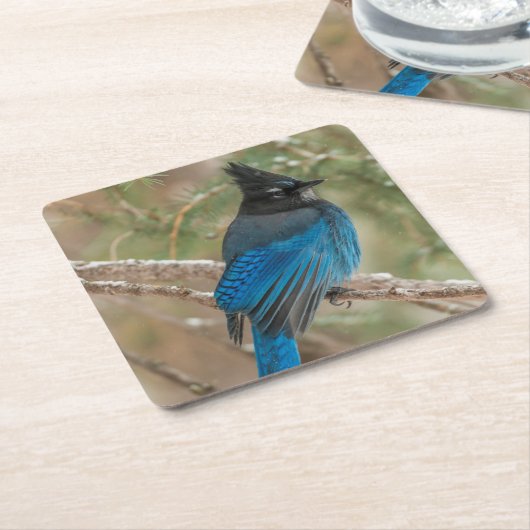 Stelletjaaimvee in boom kartonnen onderzetters (Schuin)