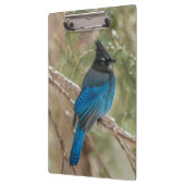 Stelletjaaimvee in boom klembord (Links)