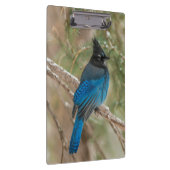 Stelletjaaimvee in boom klembord (Rechts)