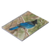 Stelletjaaimvee in boom notitieboek (Linkerzijde)