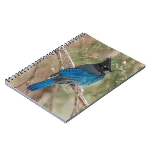 Stelletjaaimvee in boom notitieboek (Linkerzijde)