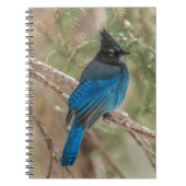 Stelletjaaimvee in boom notitieboek (Voorkant)