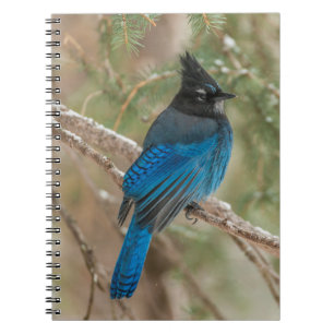 Stelletjaaimvee in boom notitieboek