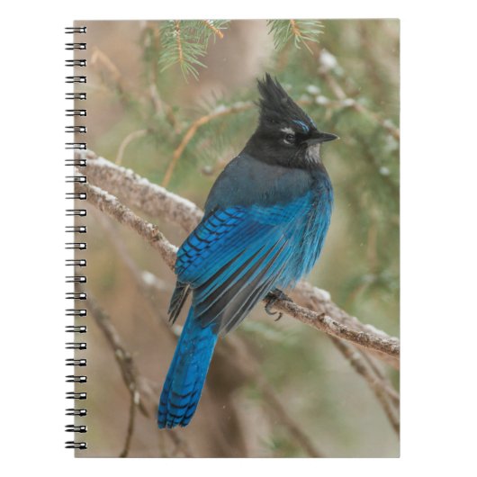 Stelletjaaimvee in boom notitieboek (Voorkant)