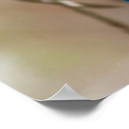 Stelletjaaimvee in boom poster (Hoek)