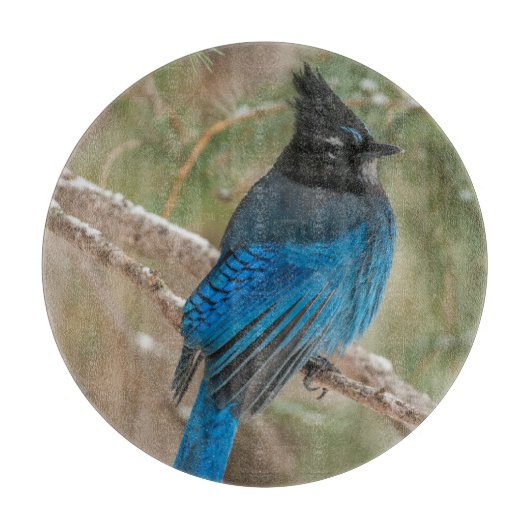 Stelletjaaimvee in boom snijplank (Voorkant)