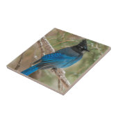 Stelletjaaimvee in boom tegeltje (Zijkant)