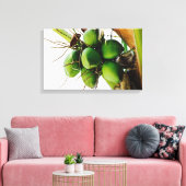 Stelletje kokosnoten ~ Caribbean Canvas Afdruk (Insitu (Woonkamer))