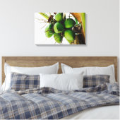 Stelletje kokosnoten ~ Caribbean Canvas Afdruk (Insitu (Slaapkamer))