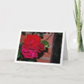 Stelletje rode rozen kaart (Voorkant)