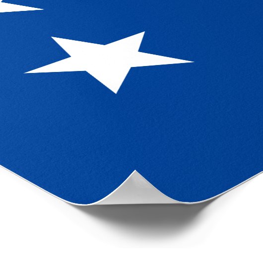 Stem Andrew Yang New York City burgemeester Stars  Poster (Hoek)