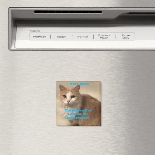 Stem Blauwe Kinderloze Kat Dames Magneet (Insitu (Vaatwasser))