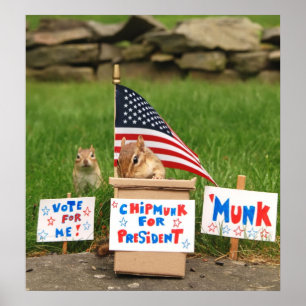 Stem 'Munk'. Poster