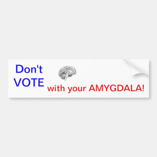 STEM niet met je AMYGDALA! Bumpersticker (Voorkant)