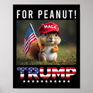 Stem op Trump voor Peanut The Squirrel Trump 2024 Poster