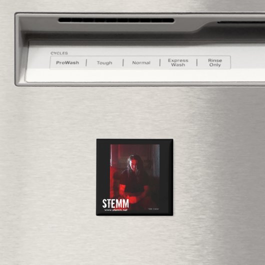 STEM: Steve Magnet (Insitu (Vaatwasser))