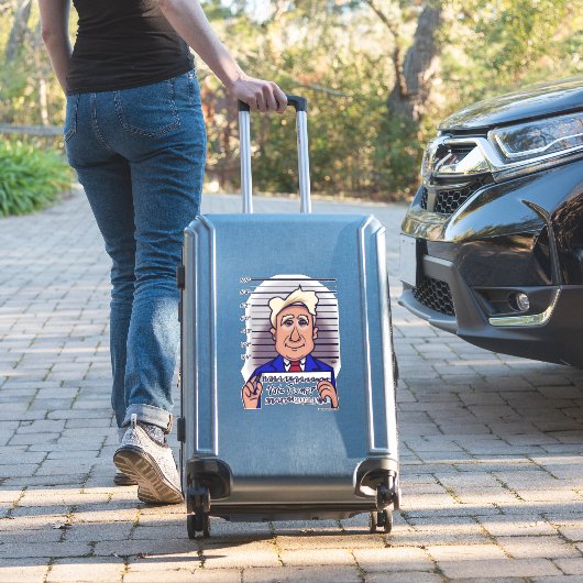 Stem Trump Custom Cut Stickers (Koffer Insitu)