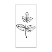 Stem van Ivy Leaves Art Stamp Rubberstempel (Afrduk)