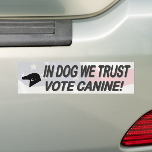 Stemhond met Amerikaanse vlag Bumpersticker (Op auto)