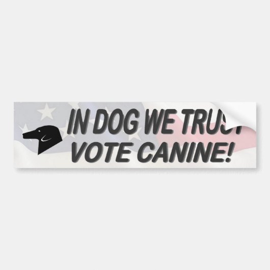 Stemhond met Amerikaanse vlag Bumpersticker (Voorkant)