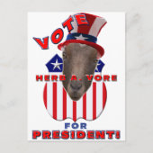 STEMMEN HERB A VORE FOR PRESIDENT! GOT BRIEFKAART (Voorkant)