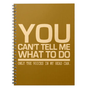 STEMMEN IN MIJN HOOFD, aangepast notitieboek