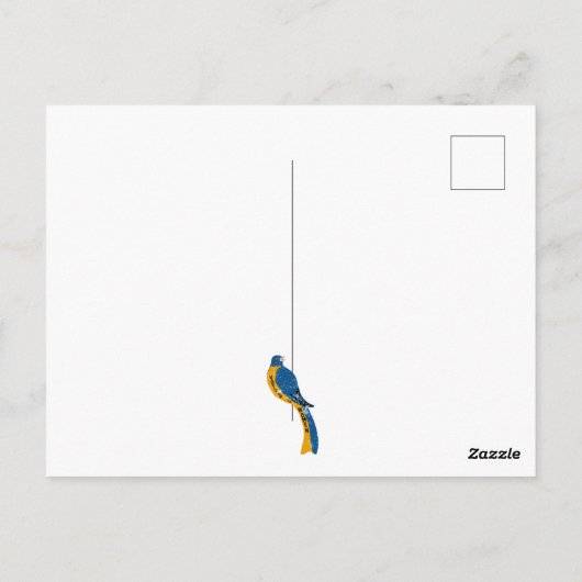 Stemmen voor vrouwen  stemrecht Beweging Vogel Briefkaart (Achterkant)