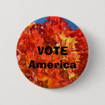 STEMMING Amerika knopen Verkiezingen Politieke dou