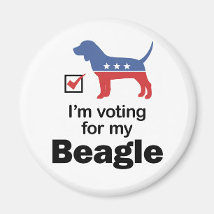 Stemming: beagle magneet