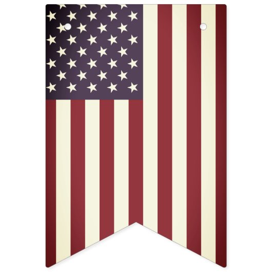 Stemming: BIDEN HARRIS op 3 nov. Bunting Flag Bann Vlaggetjes (Eerste vlag)