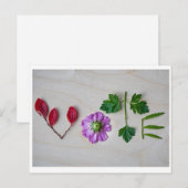 Stemming Briefkaart (Voorkant / Achterkant)