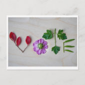 Stemming Briefkaart (Voorkant)