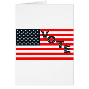 Stemming in de Verenigde Staten