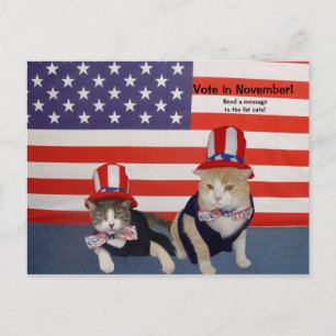Stemming in november! briefkaart
