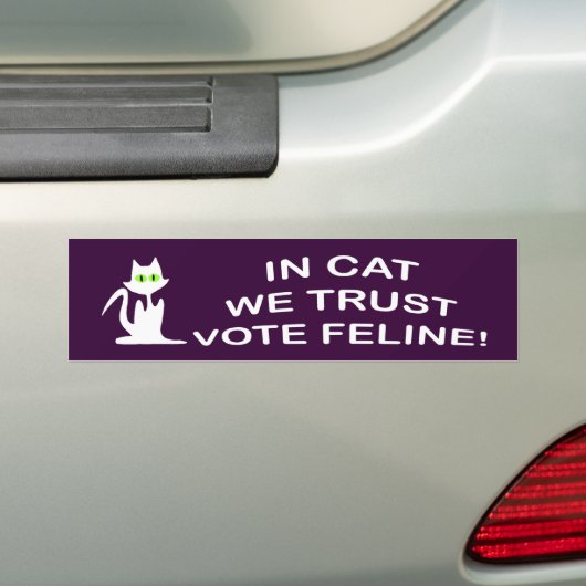 Stemming: Kat met witte Bumpersticker (Op auto)