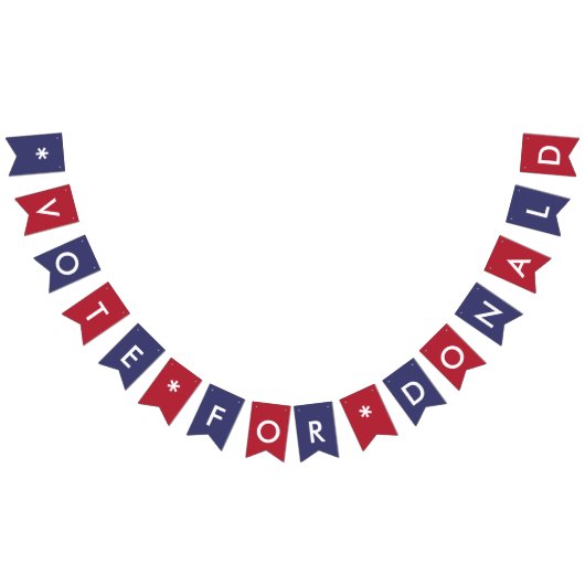 Stemming over de Amerikaanse vlag van Donald Trump Vlaggetjes (Alle)