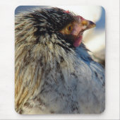 Stemming over de kip muismat (Voorkant)