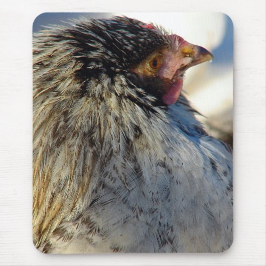 Stemming over de kip muismat (Voorkant)