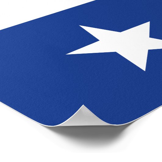 Stemming over poster op verkiezingsdag (Hoek)