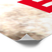 Stemming Poster (Hoek)