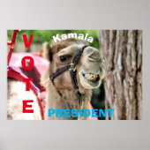 Stemming Poster (Voorkant)