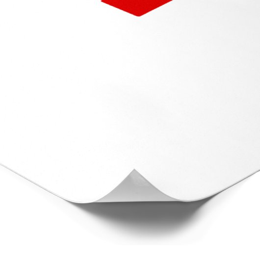 STEMMING POSTER (Hoek)