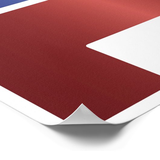 Stemming Poster verkiezingsdag (Hoek)