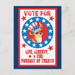 Stemming voor Chihuahua Briefkaart