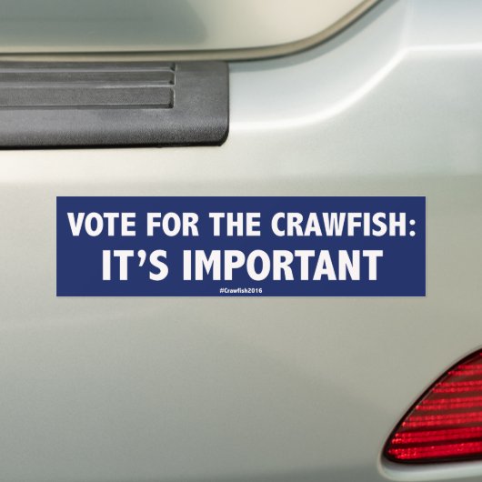Stemming voor de kreeft: Het is belangrijk! Bumper Bumpersticker (Op auto)
