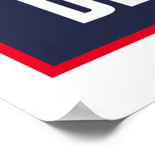 Stemming voor Democraten Verkiezing 2020 Poster (Hoek)